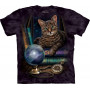 The Fortune Teller