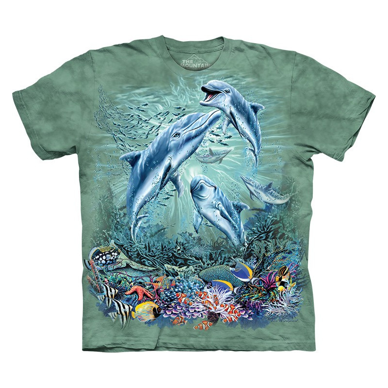 dolphins tshirts