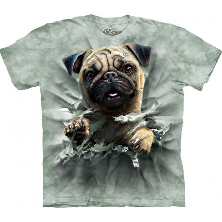 Pug Breakthru