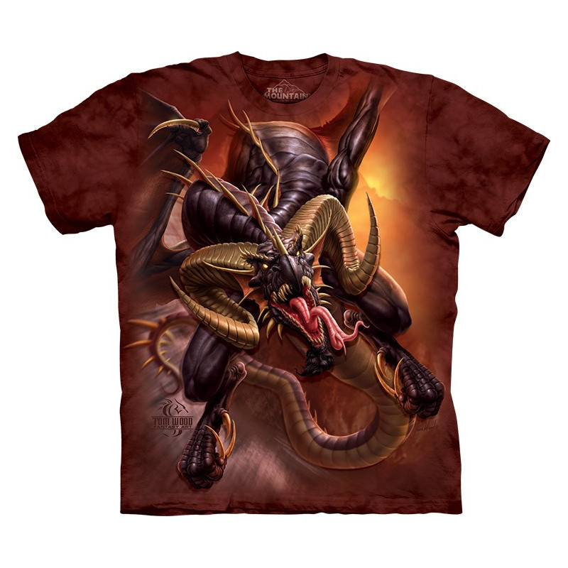 Dragon Raid T-Shirt - clothingmonster.com