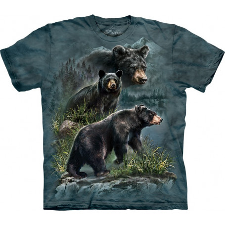 Three Black Bears