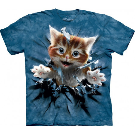 Ginger Kitten Breakthrough