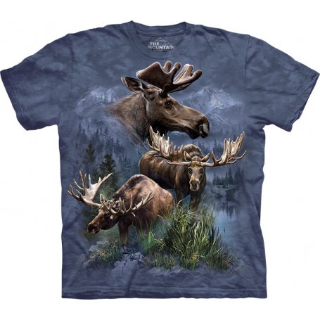 Moose Collage