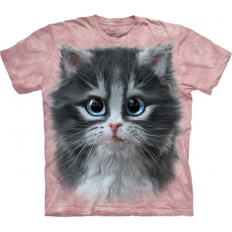 Pretty in Pink Kitten