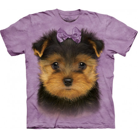 Yorkshire Terrier Puppy