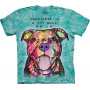 Pit Bull Smile