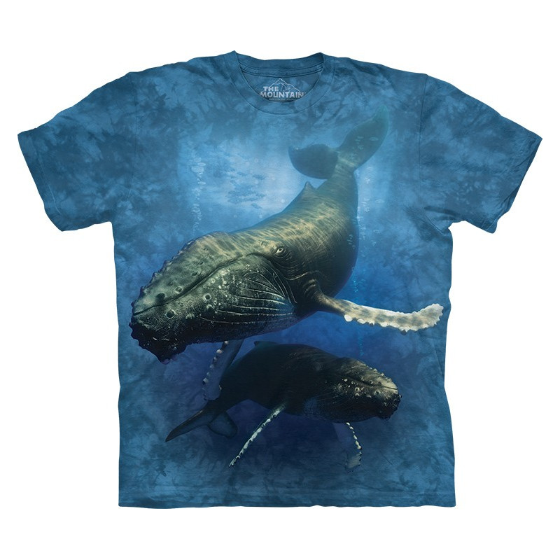 whale t shirt brand