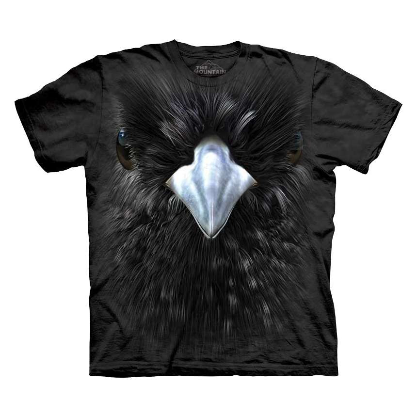 the mountain blackbird the mountain blackbird