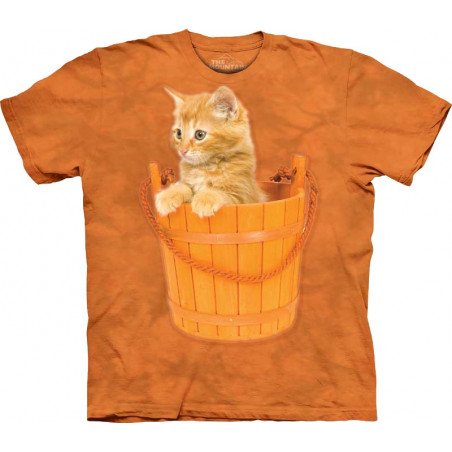 Bucket Kitten