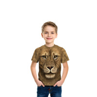 soul of a lion shirt from warrior movie