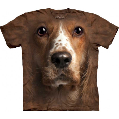 Welsh Springer Spaniel Face