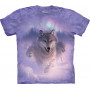 Northern Lights T-Shirt The Mountain